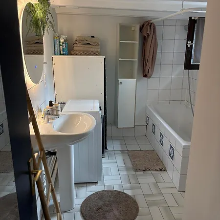Duplex Alsacien Appartamento Strasburgo